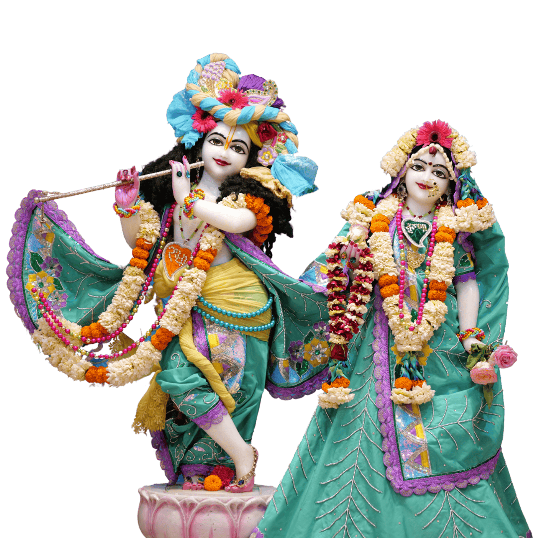 Orange and White Simple Online Seminar Invitation Instagram Post